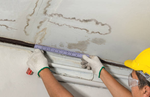 Reliable Water Damage Restoration contractor in Grover, CO by Water Damage Irwin